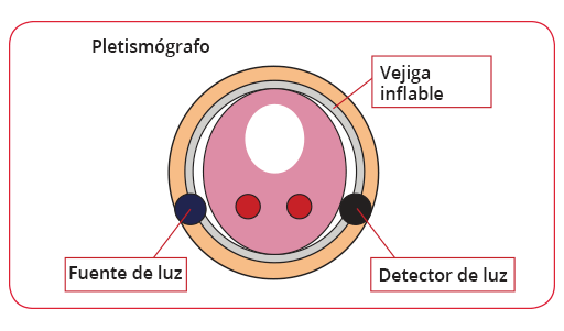 M&eacute;todo de pinzamiento volum&eacute;trico